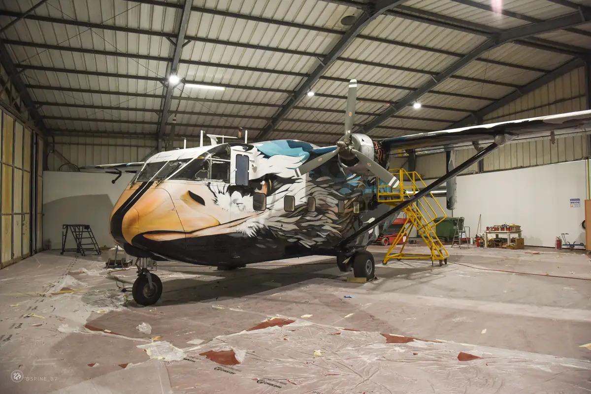 Skyvan · Israel